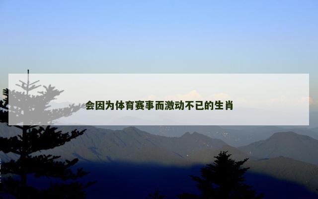 会因为体育赛事而激动不已的生肖