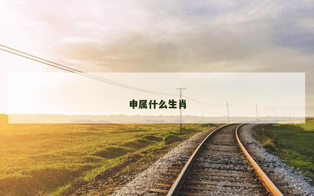 申属什么生肖