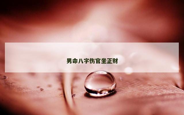 男命八字伤官坐正财