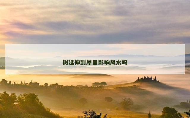 树延伸到屋里影响风水吗