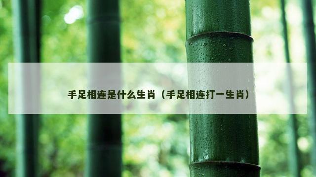 手足相连是什么生肖（手足相连打一生肖）