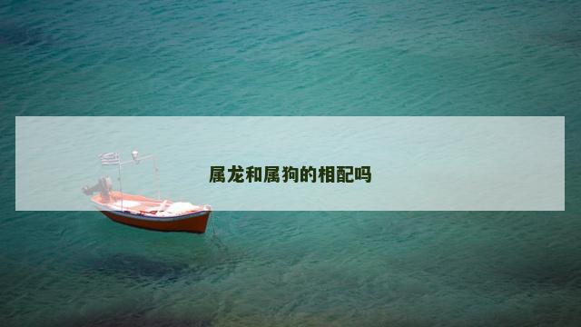 属龙和属狗的相配吗