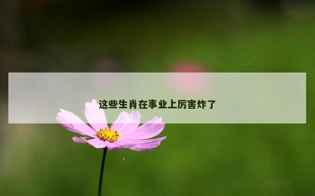 这些生肖在事业上厉害炸了