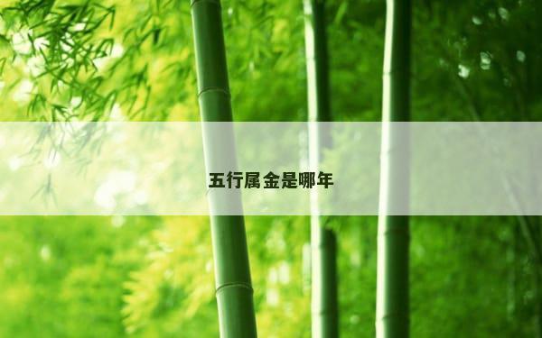 五行属金是哪年