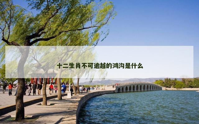 十二生肖不可逾越的鸿沟是什么