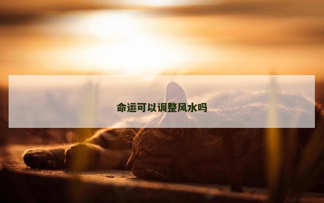 命运可以调整风水吗