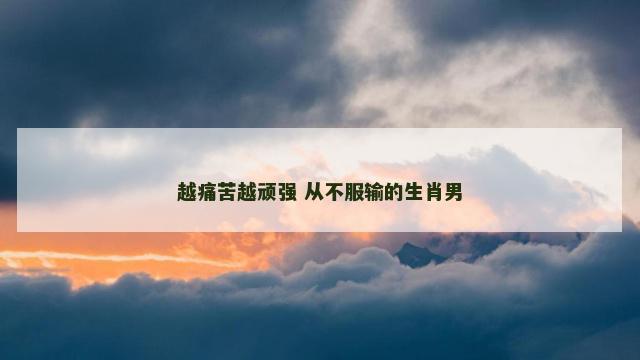 越痛苦越顽强 从不服输的生肖男