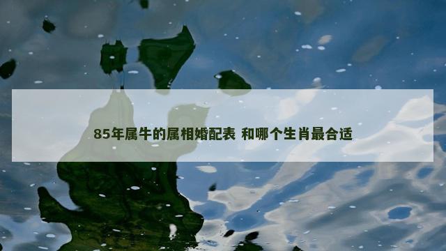 85年属牛的属相婚配表 和哪个生肖最合适