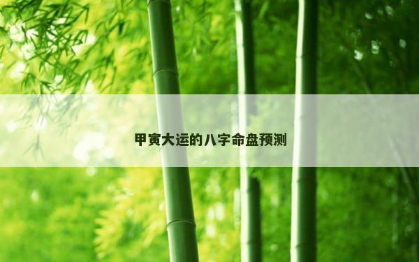 甲寅大运的八字命盘预测