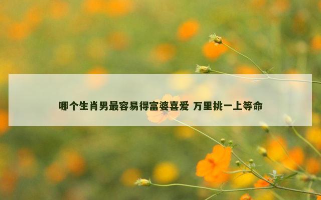 哪个生肖男最容易得富婆喜爱 万里挑一上等命