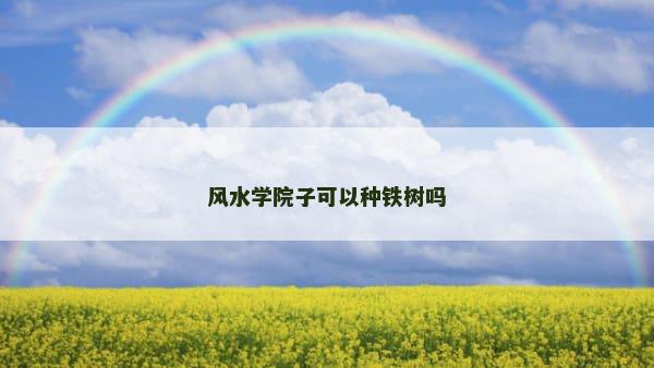 风水学院子可以种铁树吗