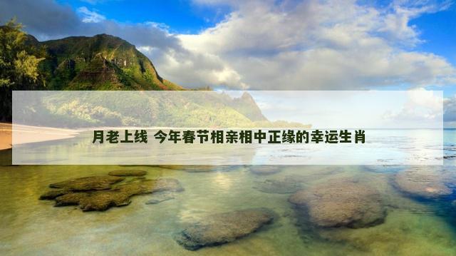 月老上线 今年春节相亲相中正缘的幸运生肖