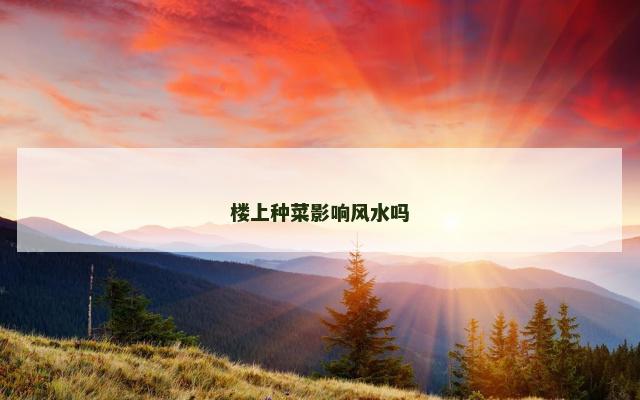 楼上种菜影响风水吗