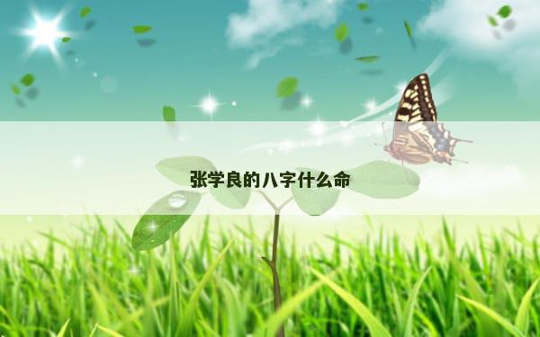 张学良的八字什么命