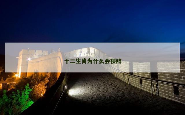十二生肖为什么会裸辞