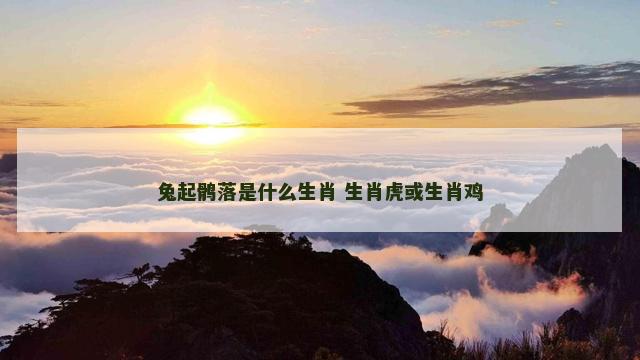 兔起鹘落是什么生肖 生肖虎或生肖鸡