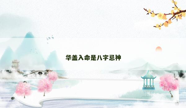 华盖入命是八字忌神