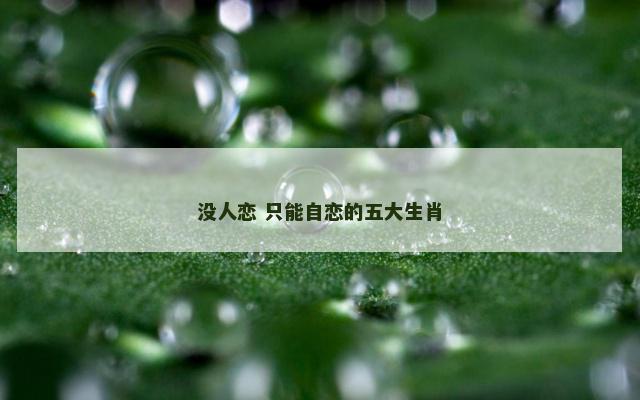 没人恋 只能自恋的五大生肖