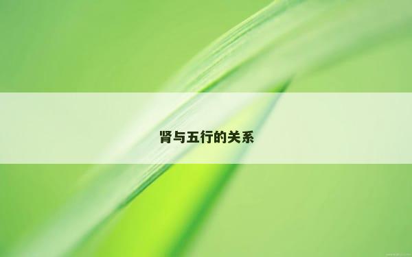 肾与五行的关系