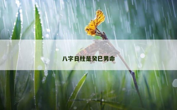 八字日柱是癸巳男命