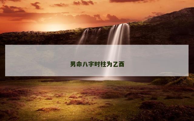 男命八字时柱为乙酉