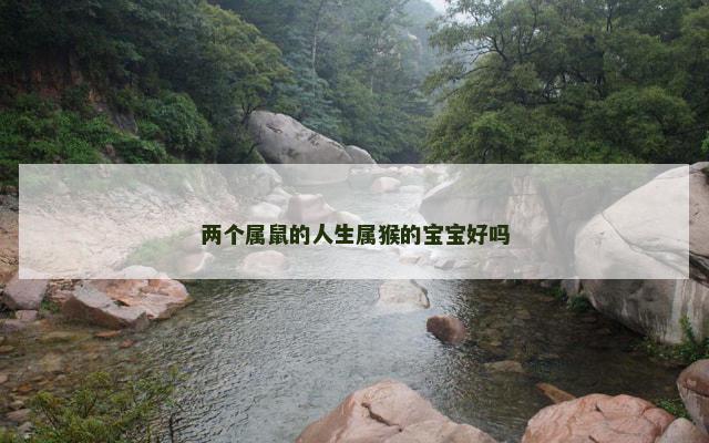 两个属鼠的人生属猴的宝宝好吗