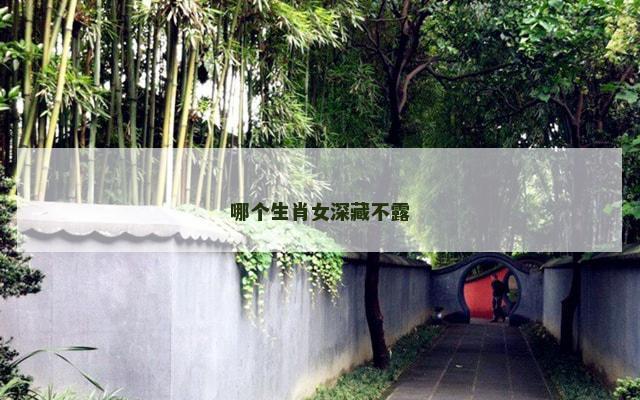 哪个生肖女深藏不露