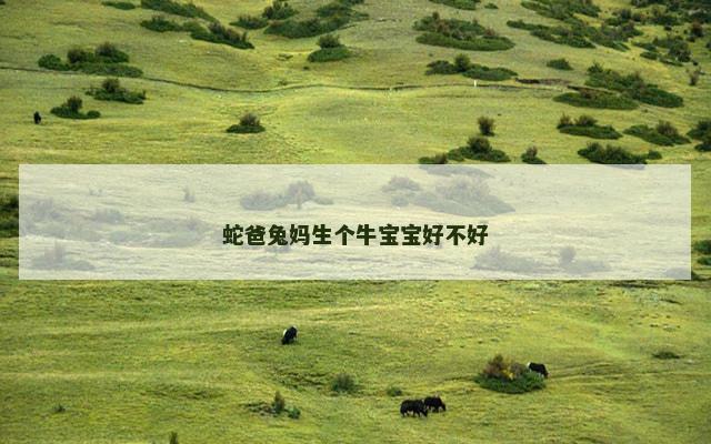 蛇爸兔妈生个牛宝宝好不好