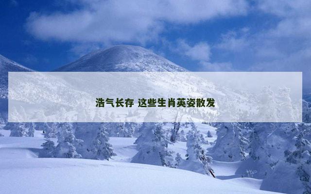 浩气长存 这些生肖英姿散发