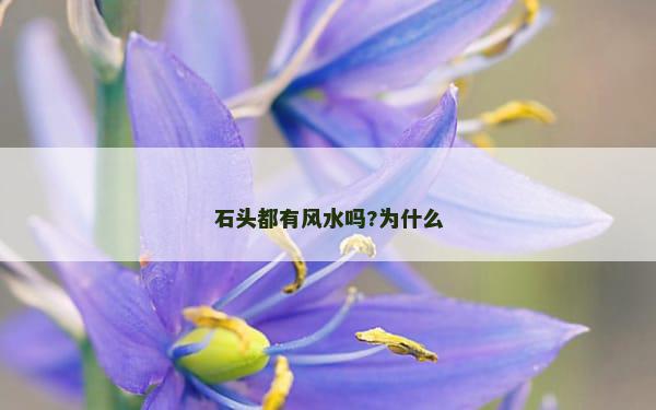 石头都有风水吗?为什么