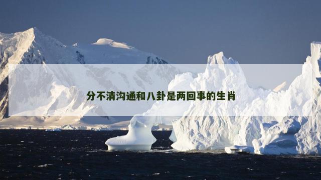 分不清沟通和八卦是两回事的生肖