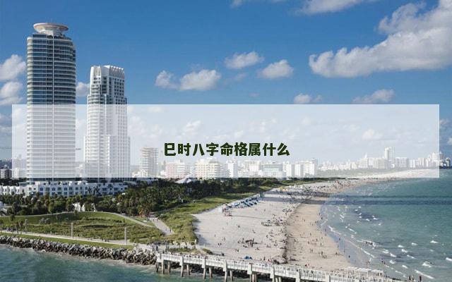 巳时八字命格属什么