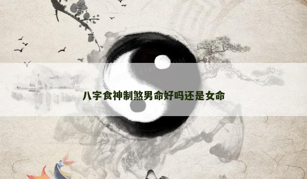 八字食神制煞男命好吗还是女命