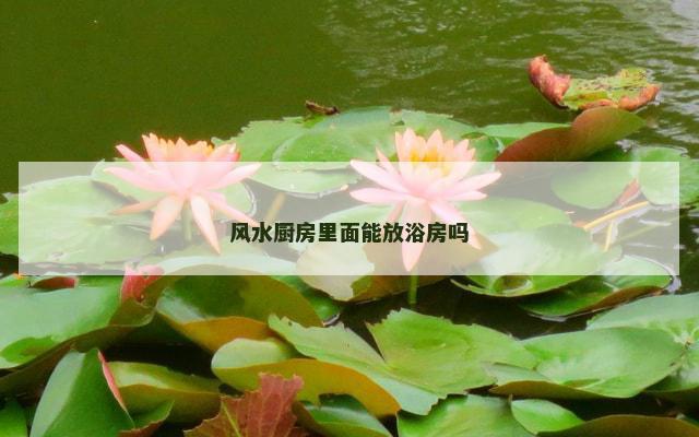 风水厨房里面能放浴房吗