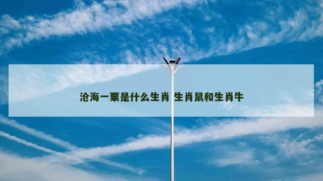 沧海一粟是什么生肖 生肖鼠和生肖牛