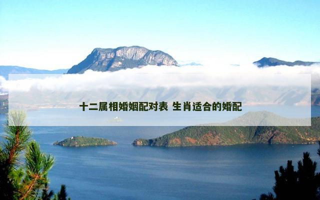 十二属相婚姻配对表 生肖适合的婚配