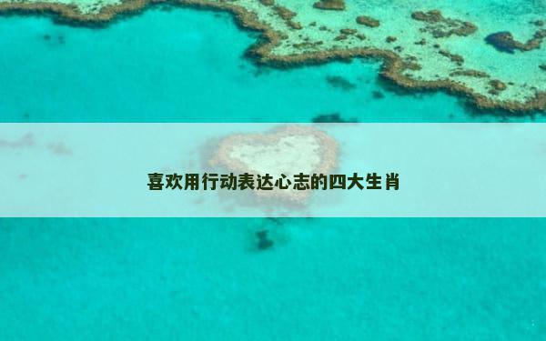 喜欢用行动表达心志的四大生肖