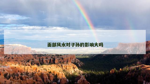 面部风水对子孙的影响大吗