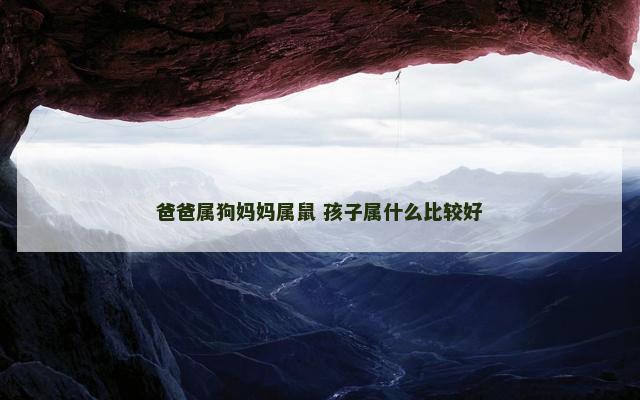 爸爸属狗妈妈属鼠 孩子属什么比较好