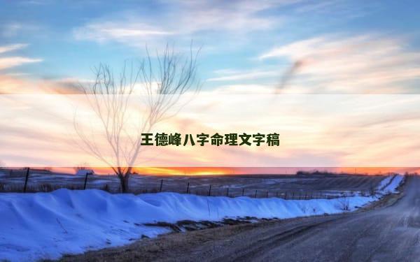 王德峰八字命理文字稿