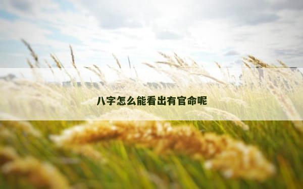 八字怎么能看出有官命呢