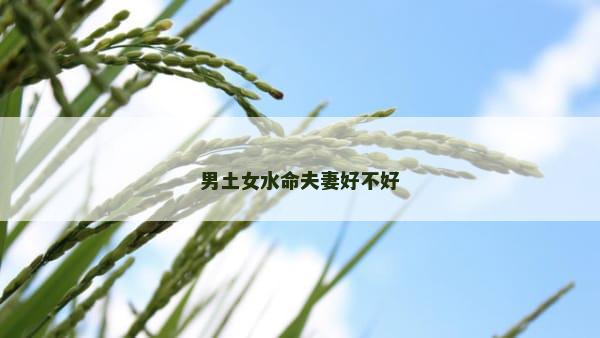 男土女水命夫妻好不好