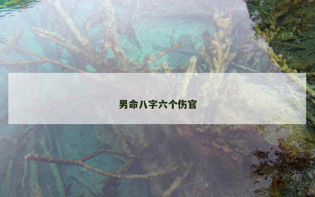 男命八字六个伤官