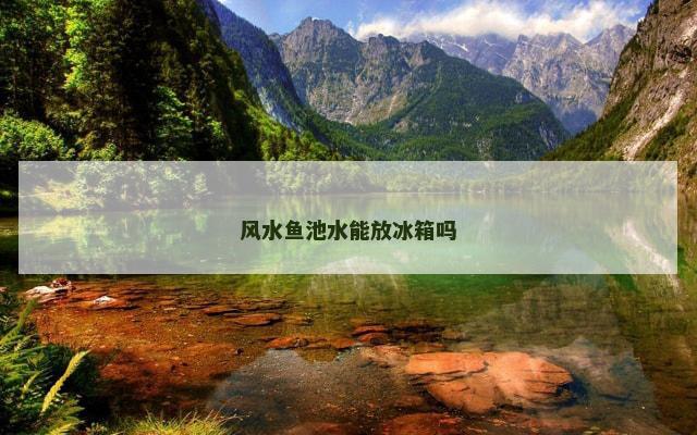 风水鱼池水能放冰箱吗