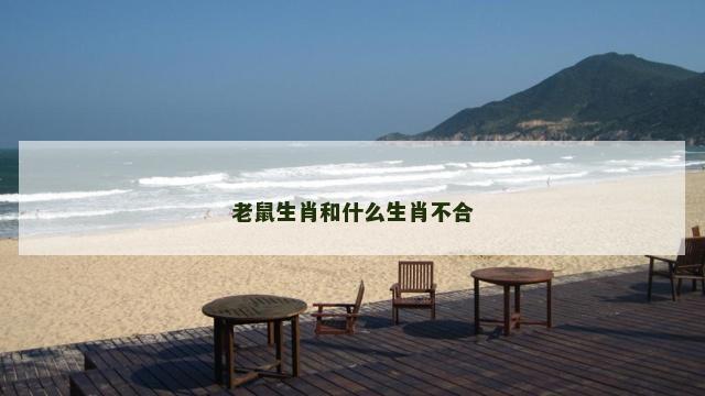 老鼠生肖和什么生肖不合