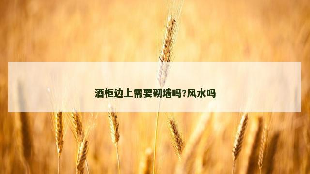 酒柜边上需要砌墙吗?风水吗
