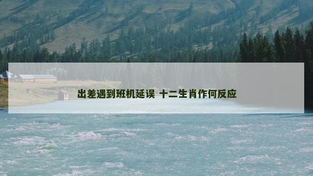 出差遇到班机延误 十二生肖作何反应
