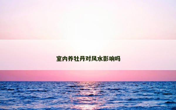 室内养牡丹对风水影响吗