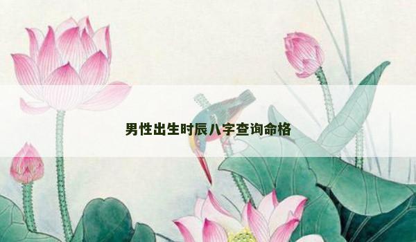 男性出生时辰八字查询命格
