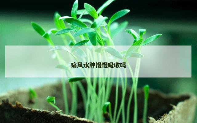 痛风水肿慢慢吸收吗